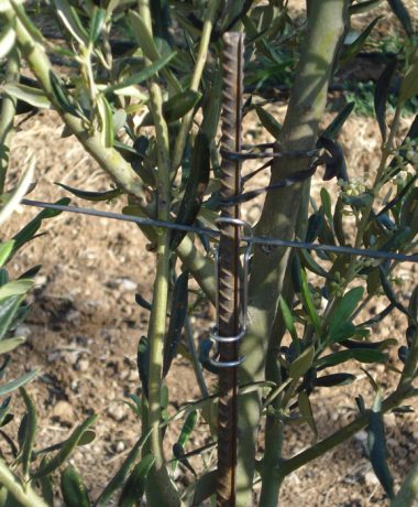 HEREK-TUTTURMA-APARATI